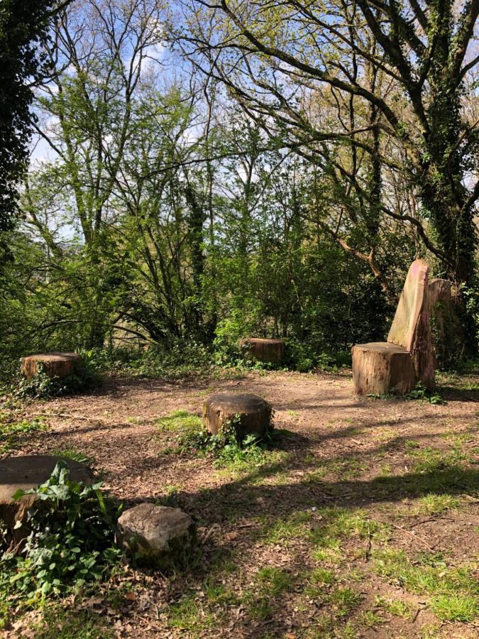 Appartement Au Calme Nature Et Centre Ville Quimper Ngoại thất bức ảnh